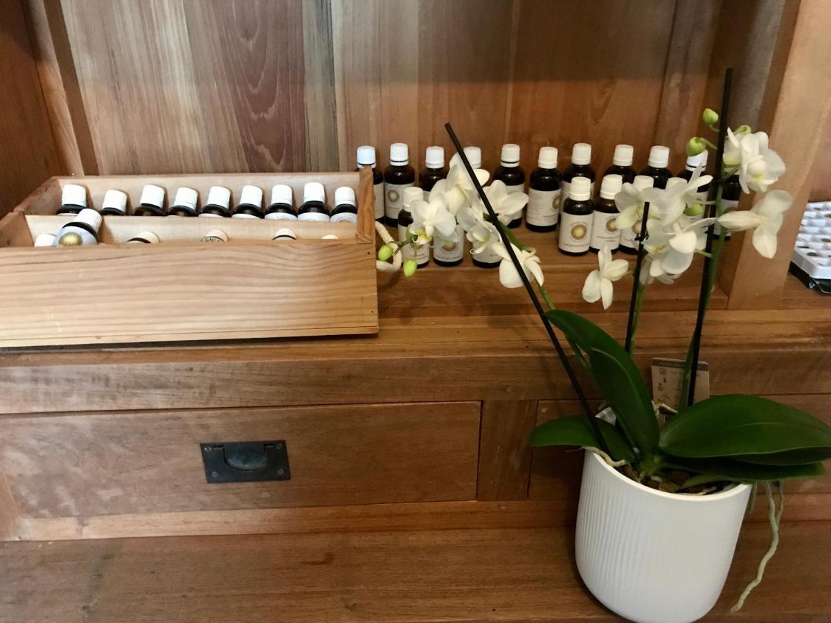 Coeur De Roses, Gite & Chambre D'Hotes Alaigne Eksteriør bilde